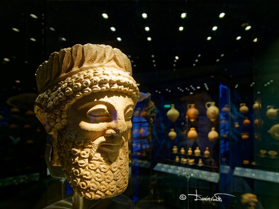 _1300372_DxO_AF copy_WM.jpg