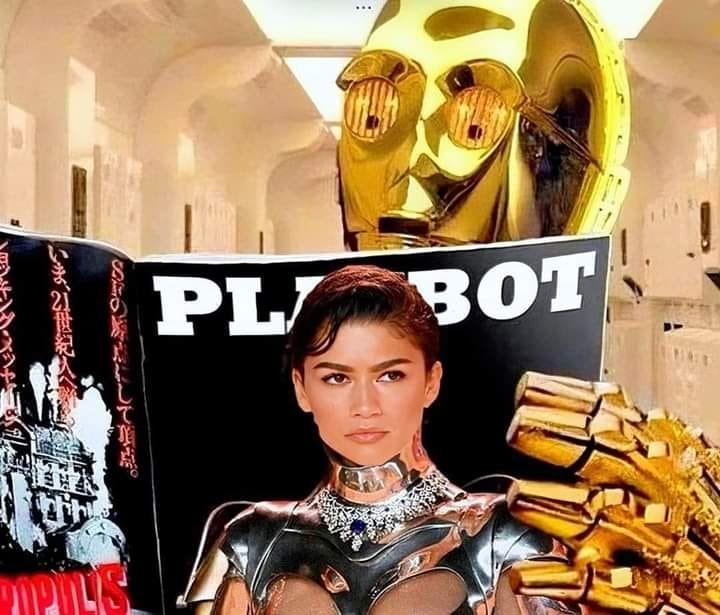 Playbot.jpg