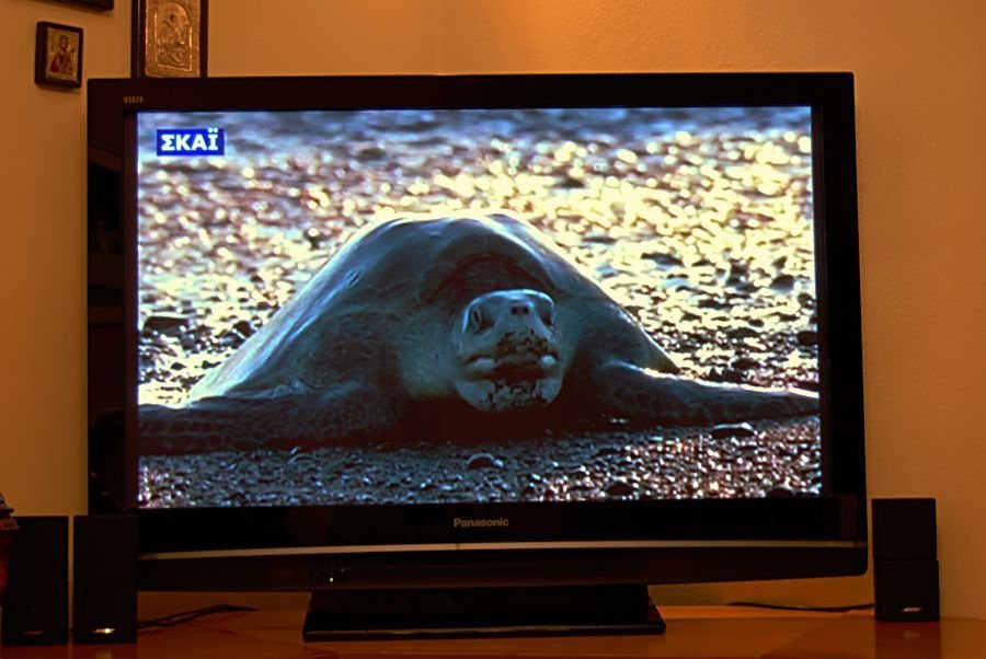 42PX80 TV - ΓΒ£ΓΕ‘ΓβΓβ’.jpg