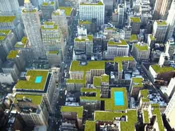 roof_gardens.jpg