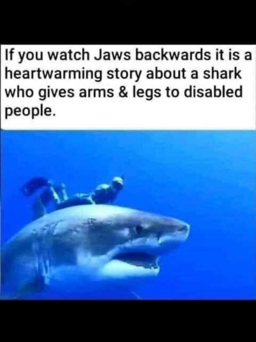 IMG_0236.png