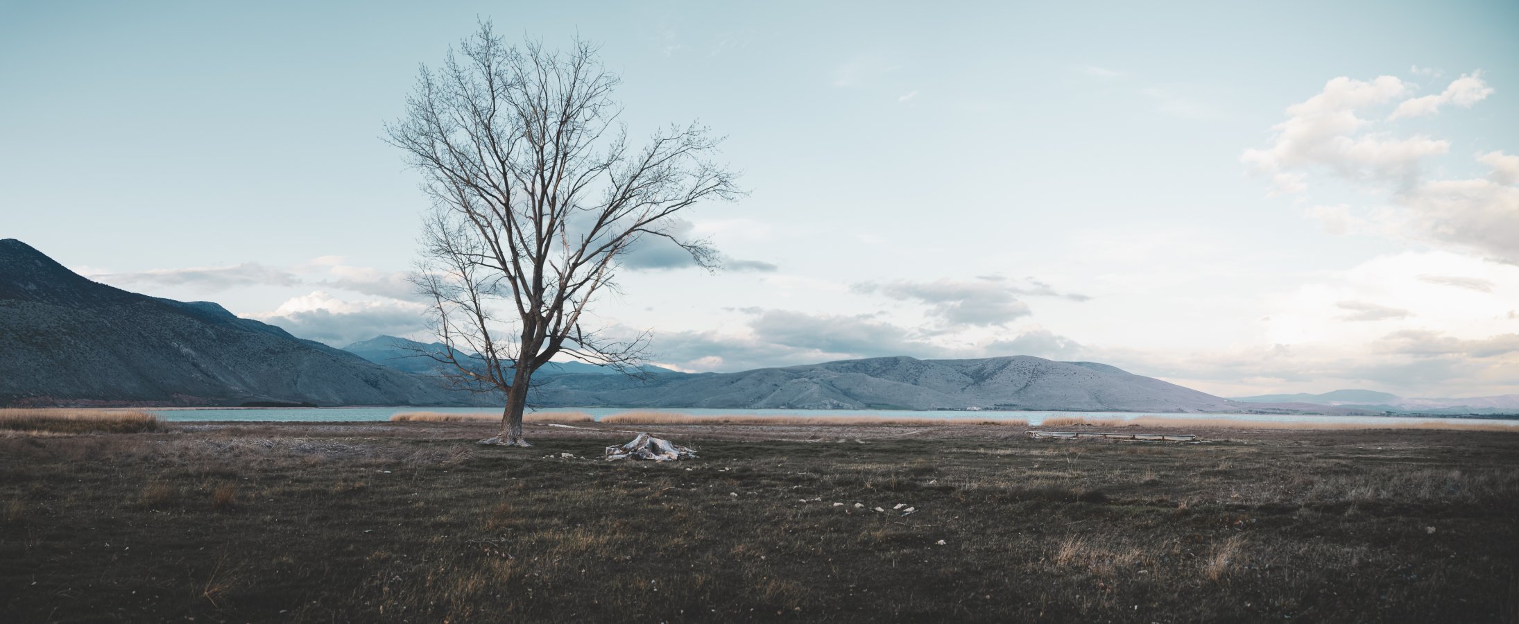 test 20mm viltrox.jpg