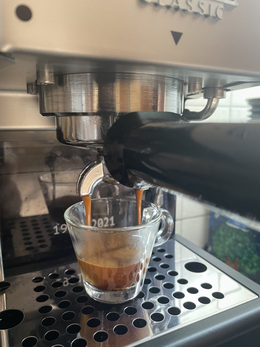 IMG_0064.jpeg IMG_0064.jpeg