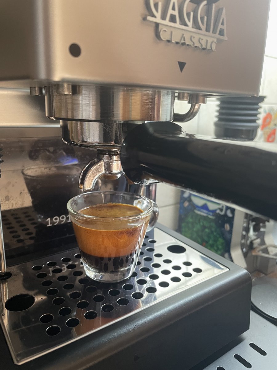 IMG_0065.jpeg IMG_0065.jpeg