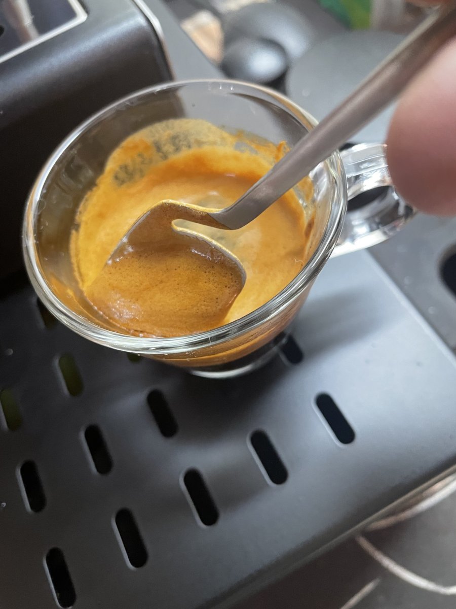 IMG_0066.jpeg IMG_0066.jpeg