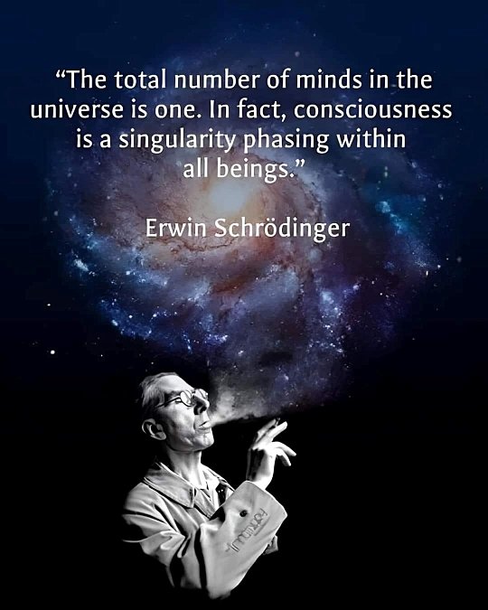 Total number of minds is one.jpg