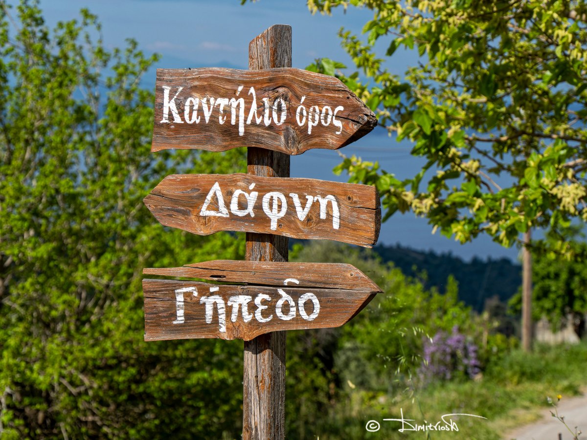 P4070001_DxO copy_WM.jpg