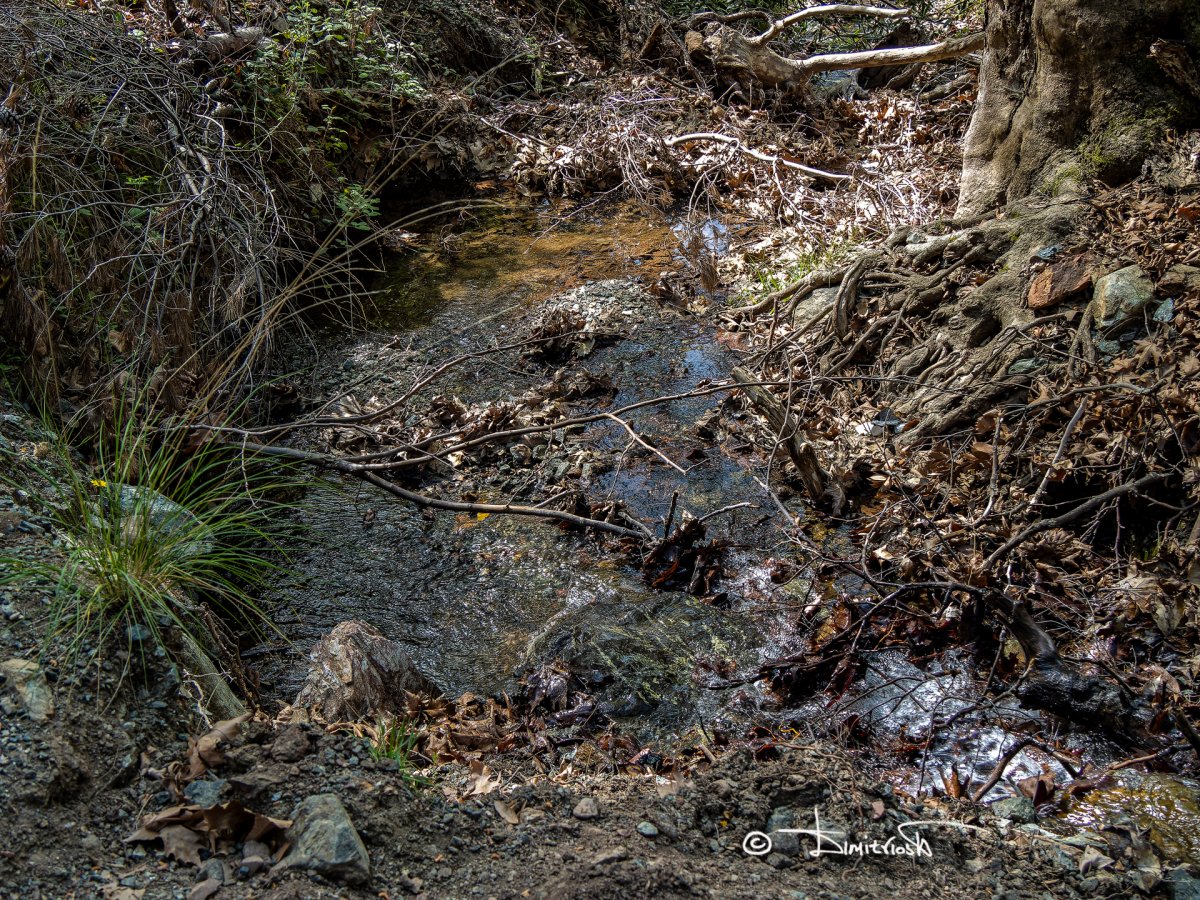 P4070023_DxO copy_WR.jpg