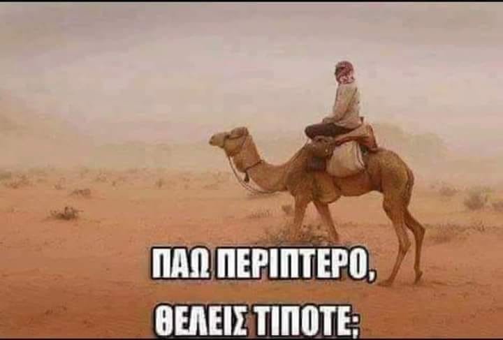 Ένα camel.jpg
