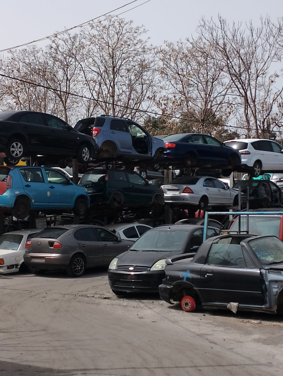 IMG_20240327_120902.jpg IMG_20240327_120902.jpg