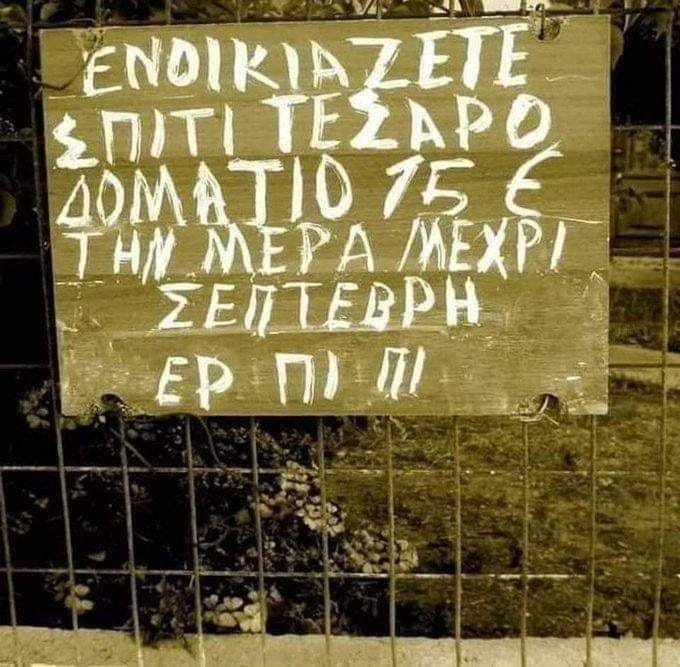 πι πι δευτερο θαμνο αριστερά.jpg