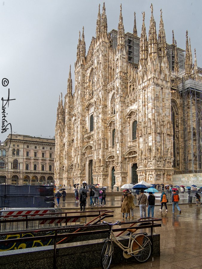 P5160018_DxO_AF copy_WM.jpg