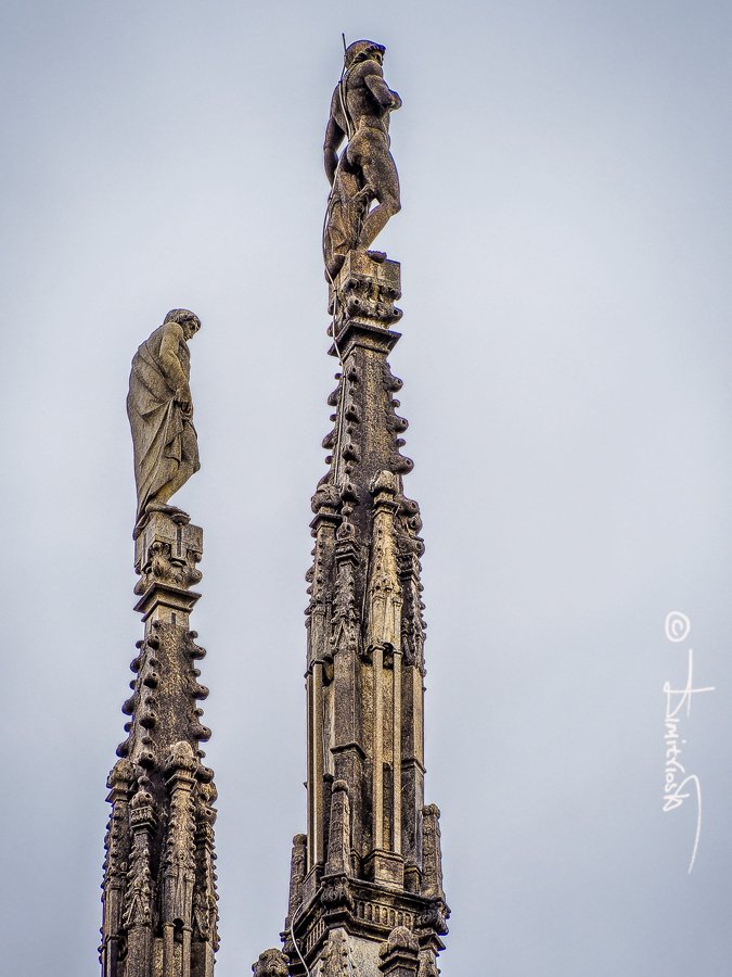 P5160165_DxO_AF copy_WM.jpg