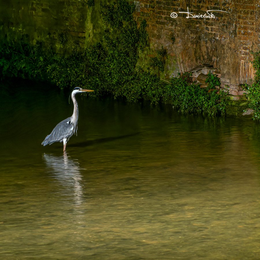 P5160224_DxO_AF copy_WB.jpg