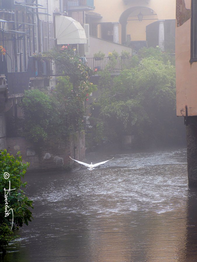 P5170234_DxO_AF copy_WB.jpg