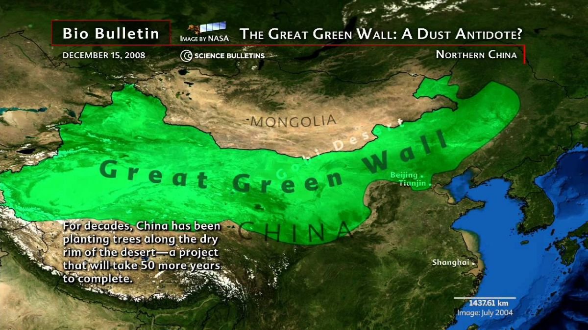 green_wall.jpg