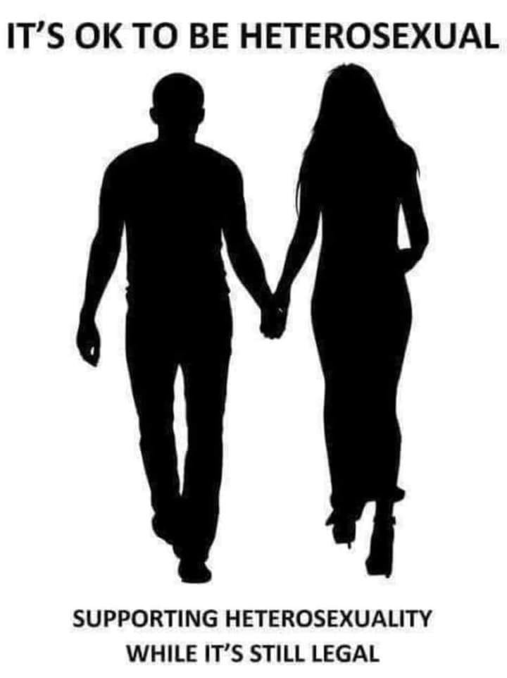 Heterosexuality is still legal.jpg