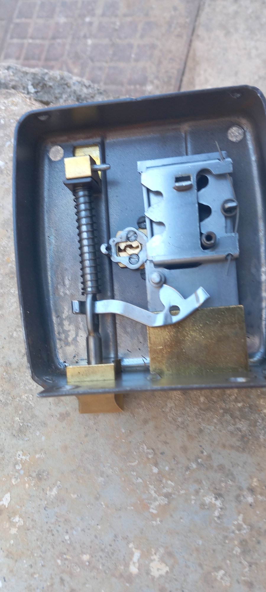 20240809_115735.jpg 20240809_115735.jpg