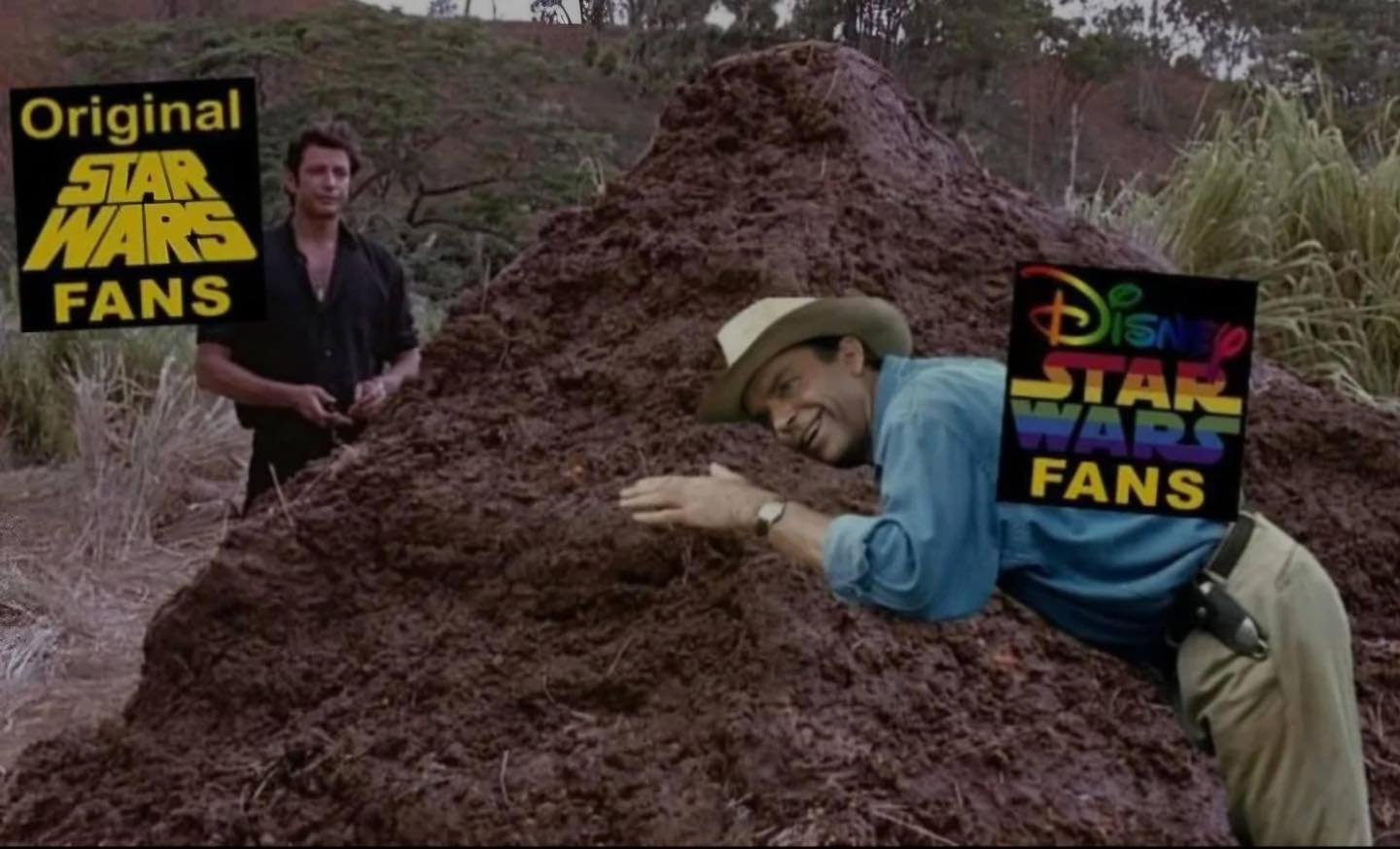 Disney Star Wars fans.jpg