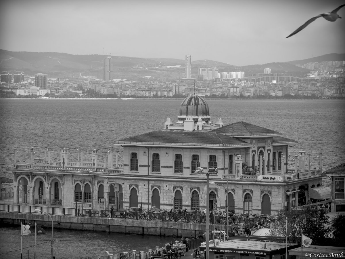 PA081039.jpg