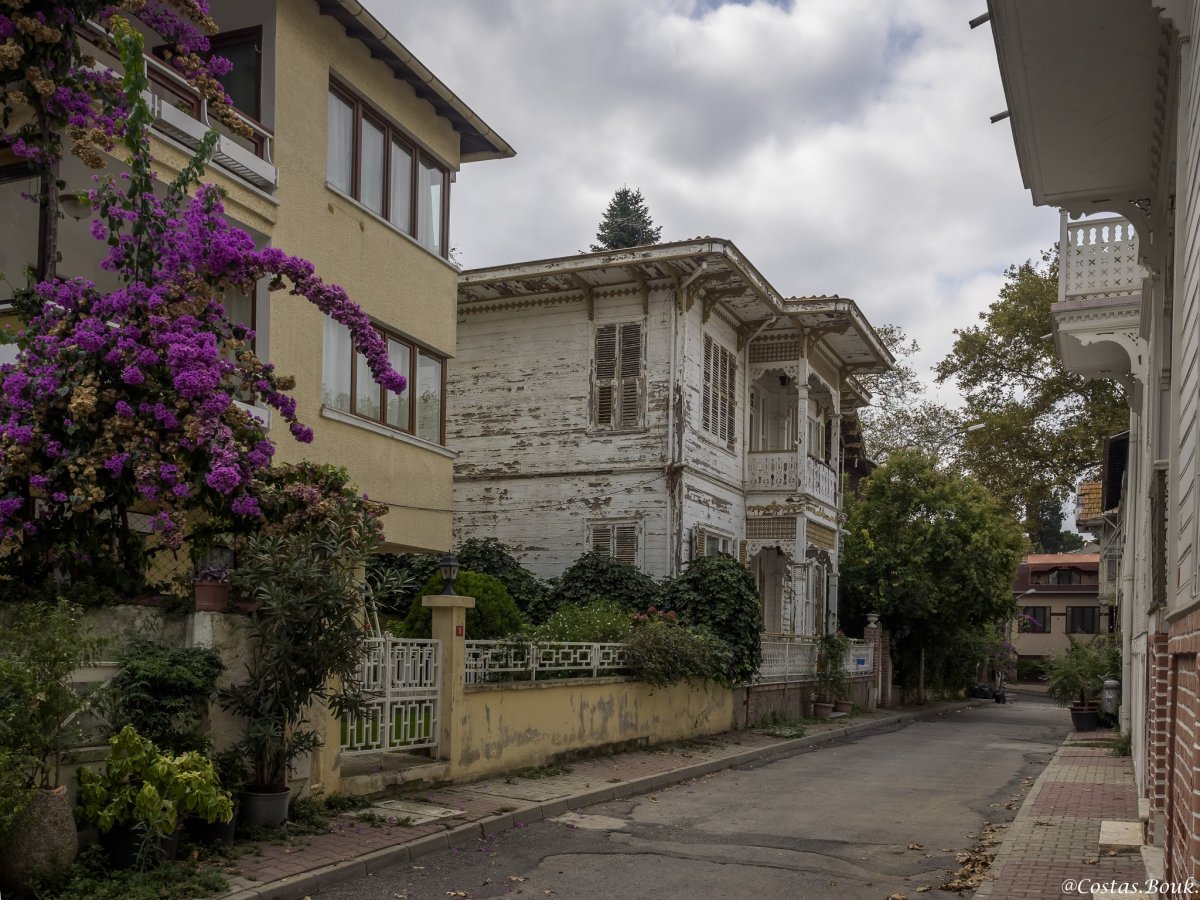 PA081014.jpg