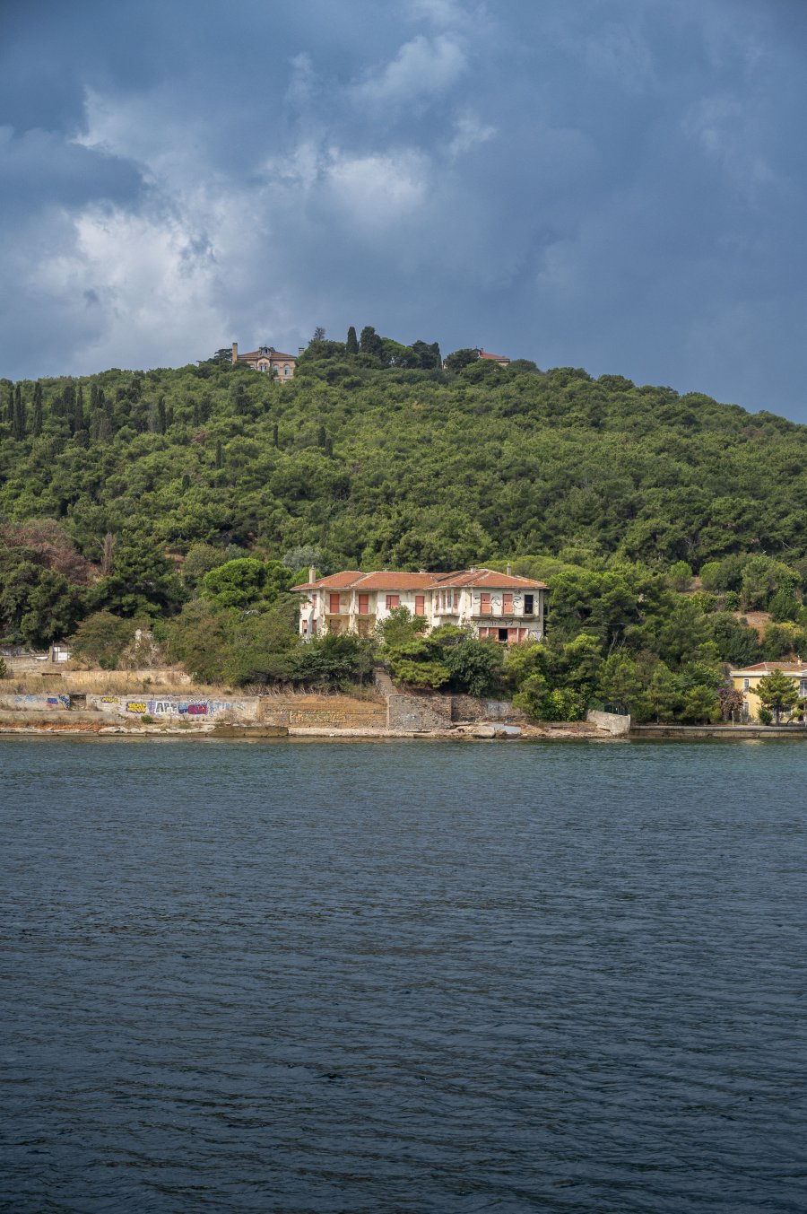 _Z624109.jpg