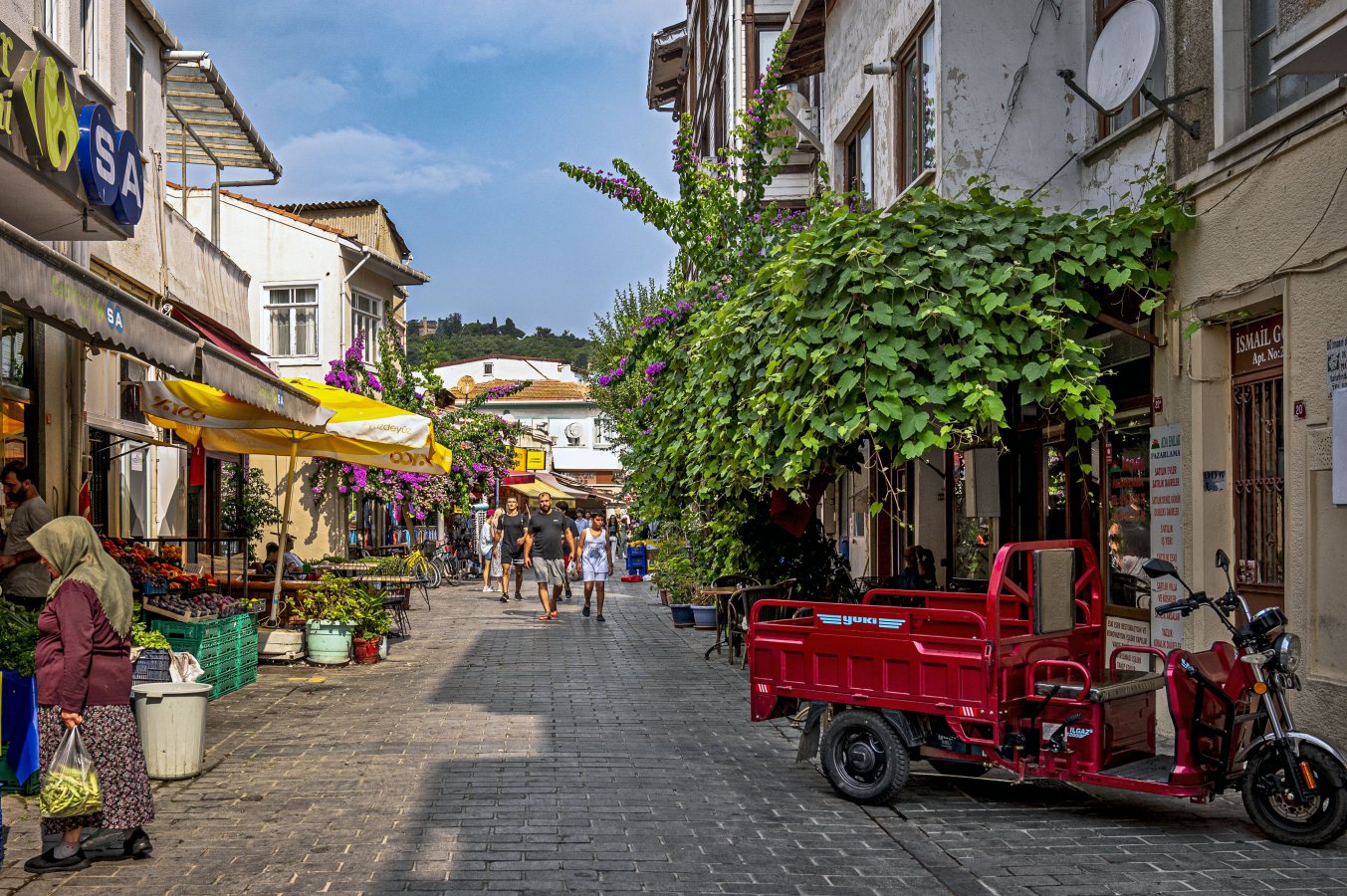 _Z624113-Edit.jpg