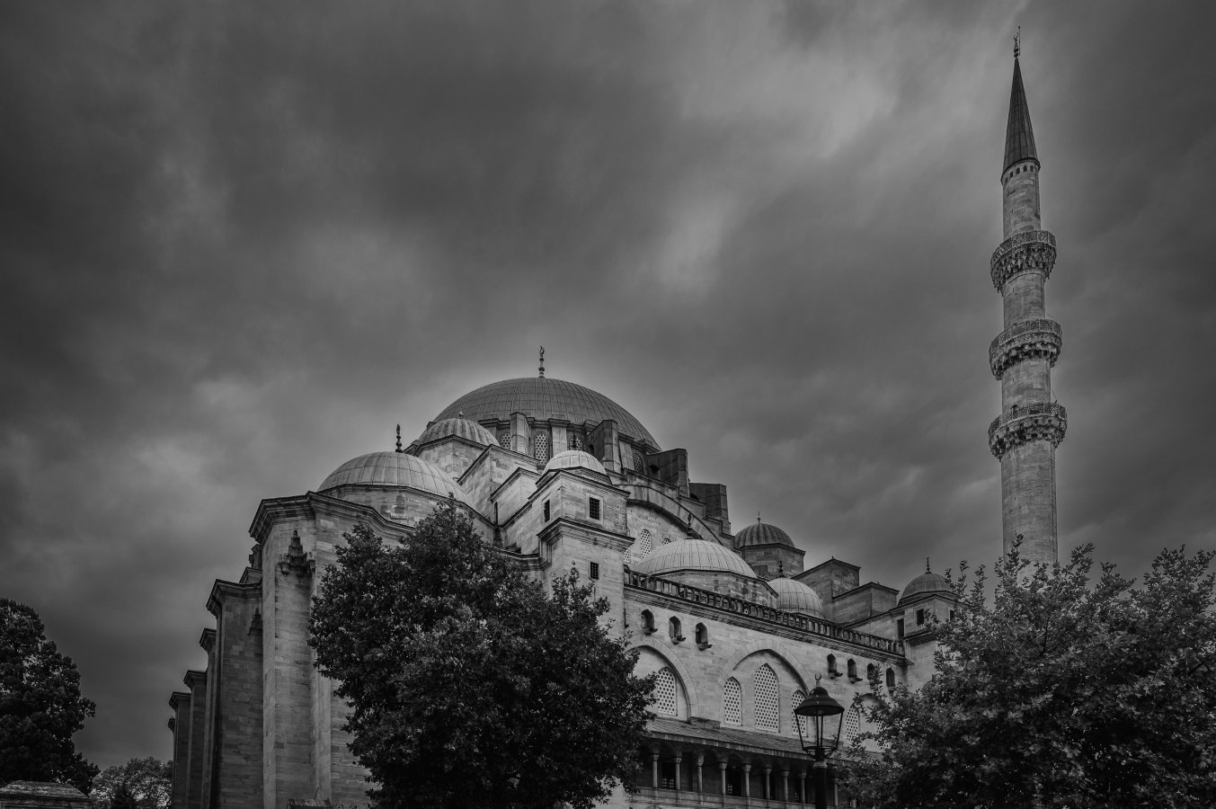 _Z623672.jpg