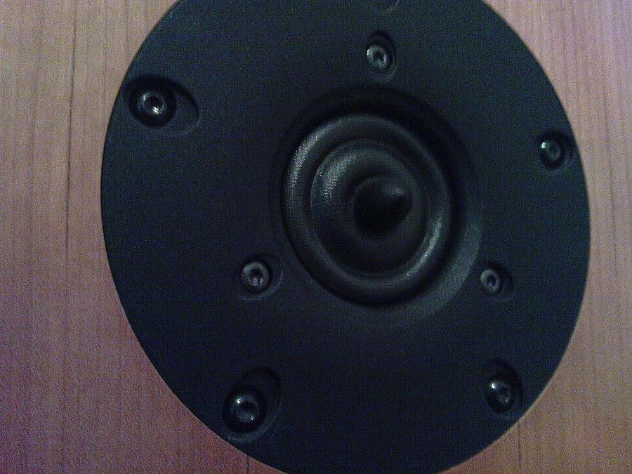 DSC00183.jpg