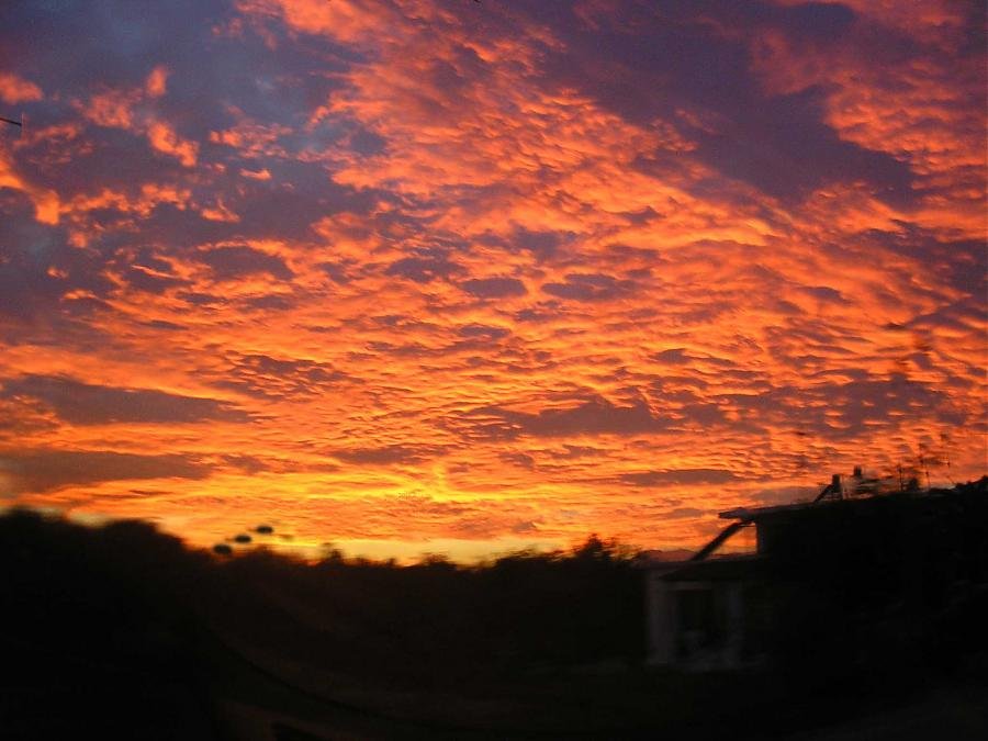 PB120096 copy copy.jpg