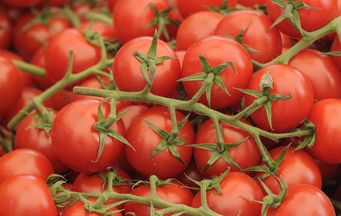 tomates.jpg