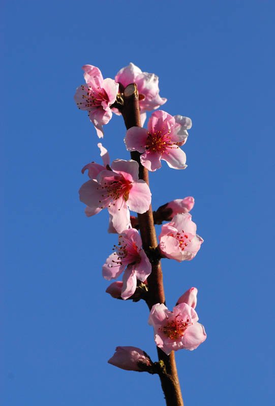 DSC_7891_1.jpg