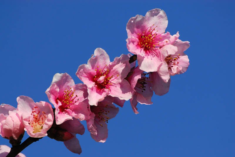 DSC_7896_1.jpg