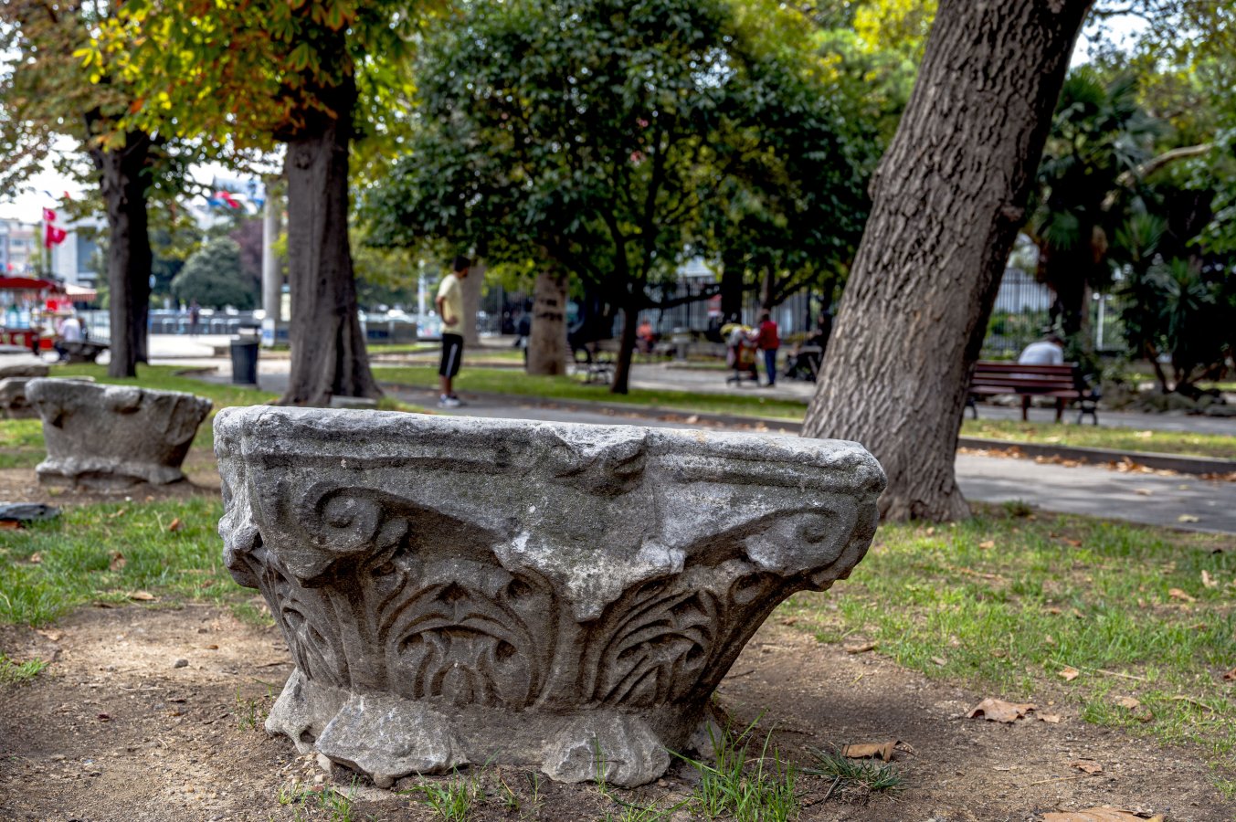_Z624693-Edit.jpg