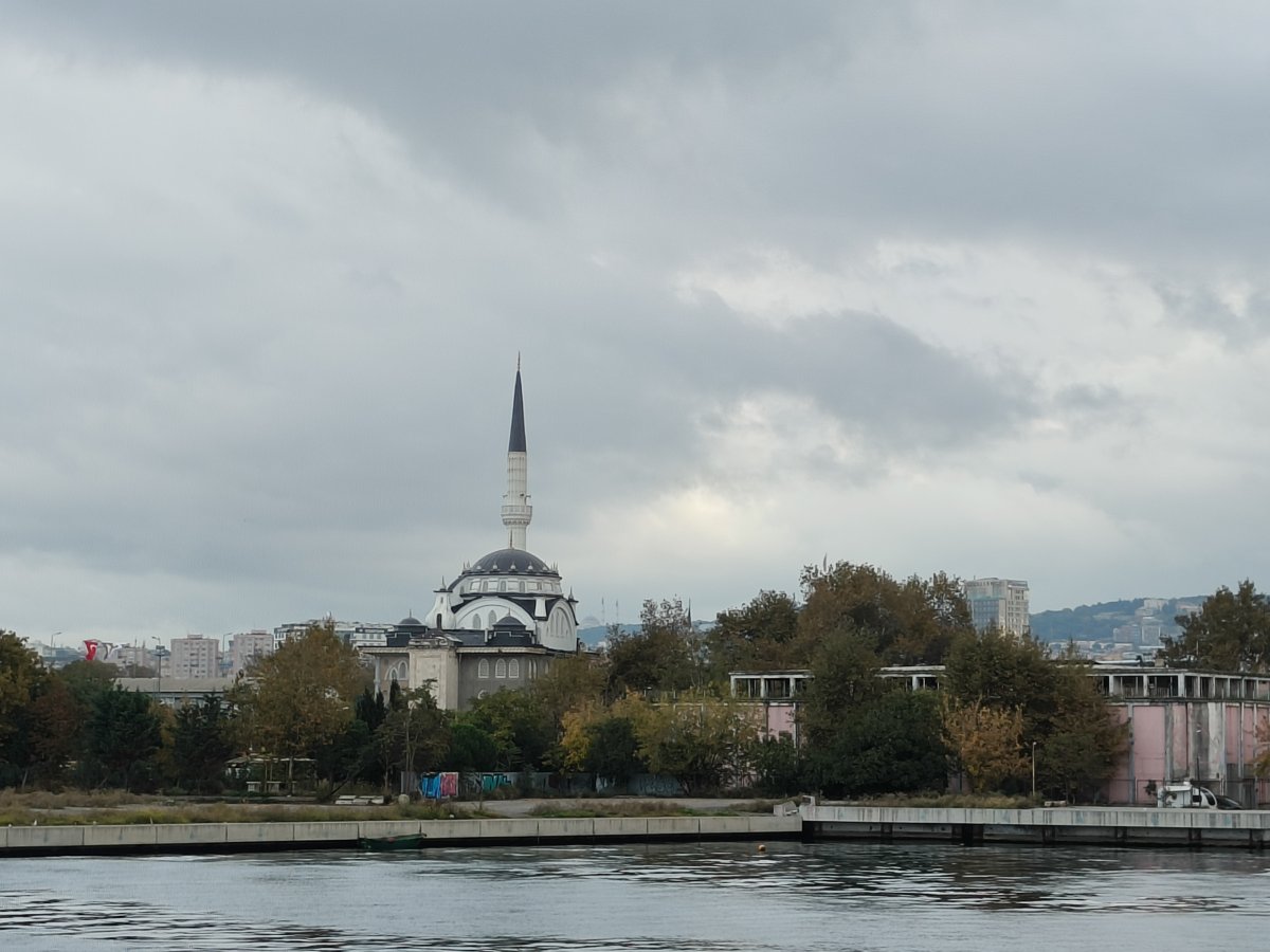 IMG20241025091617.jpg