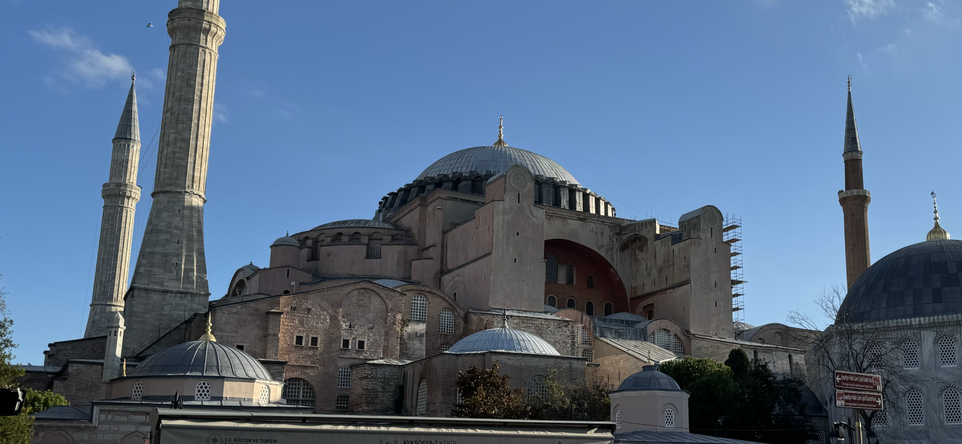 IMG_6278.png
