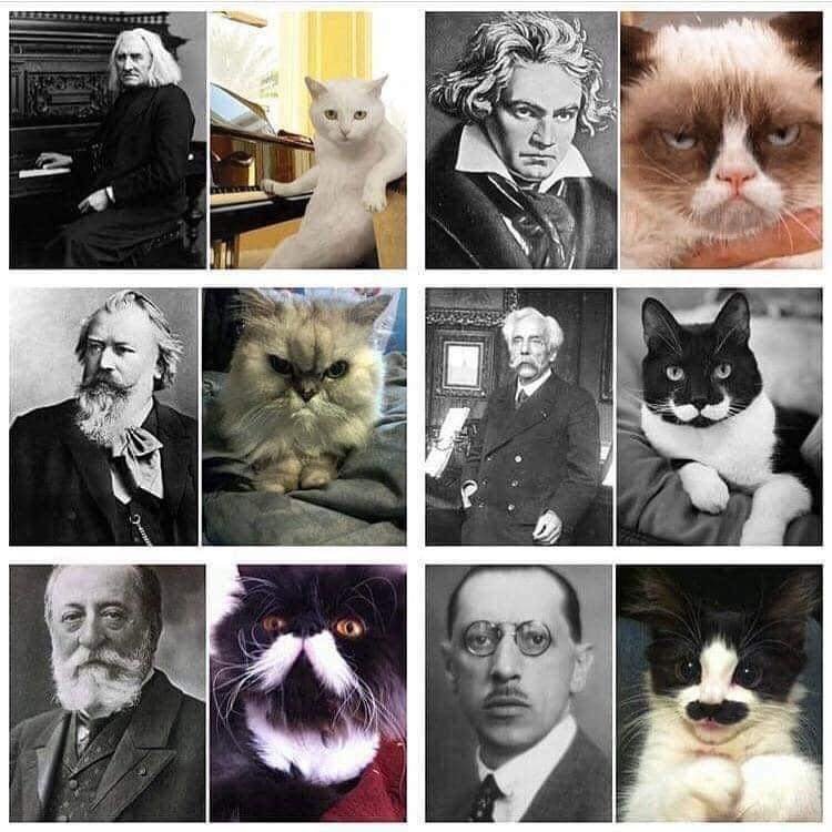 434283731_955018736181703_1720289008247854723_n.jpg 434283731_955018736181703_1720289008247854723_n.jpg