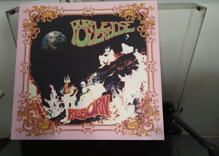 PURPLE OVERDOSE 5 (1).jpg