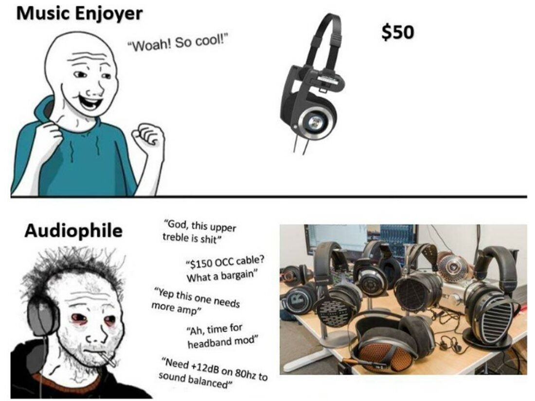 music_enjoyer_vs_audiophile-1100x825.jpg music_enjoyer_vs_audiophile-1100x825.jpg