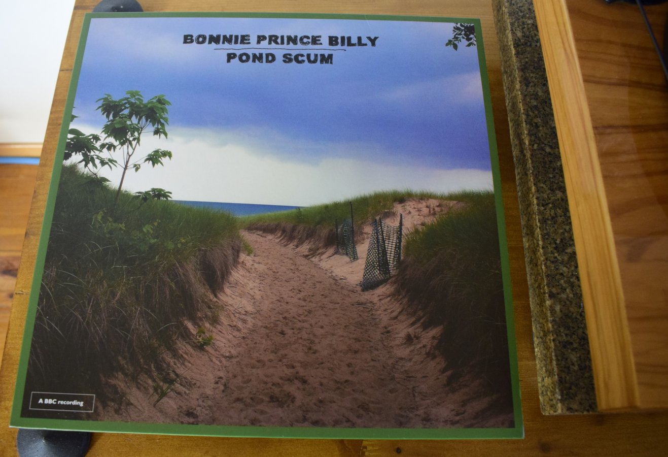 _DSC0008 (1).jpg _DSC0008 (1).jpg