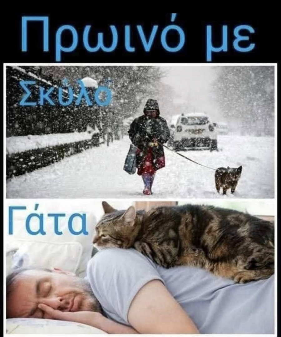 1734379140764.png