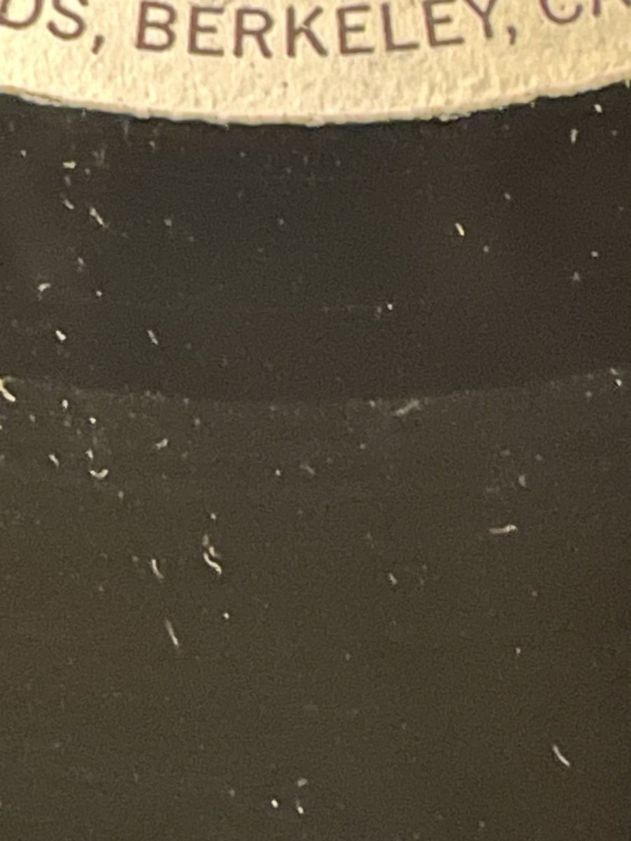 IMG_1315.jpeg