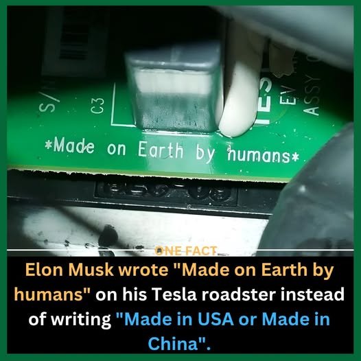 472211377_595381806774986_1891811629749308358_n.jpg