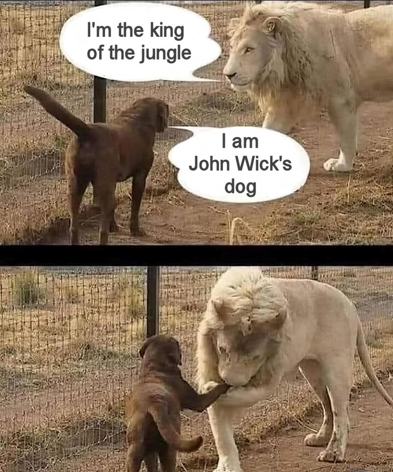 I'm John Wick's dog.jpg