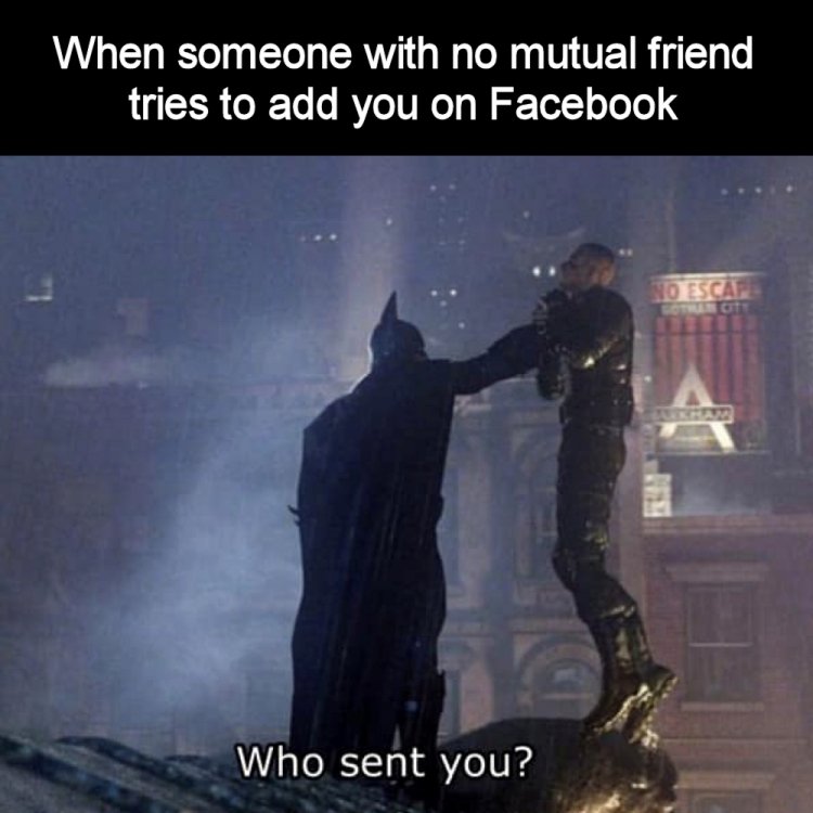 Who sent you.jpg