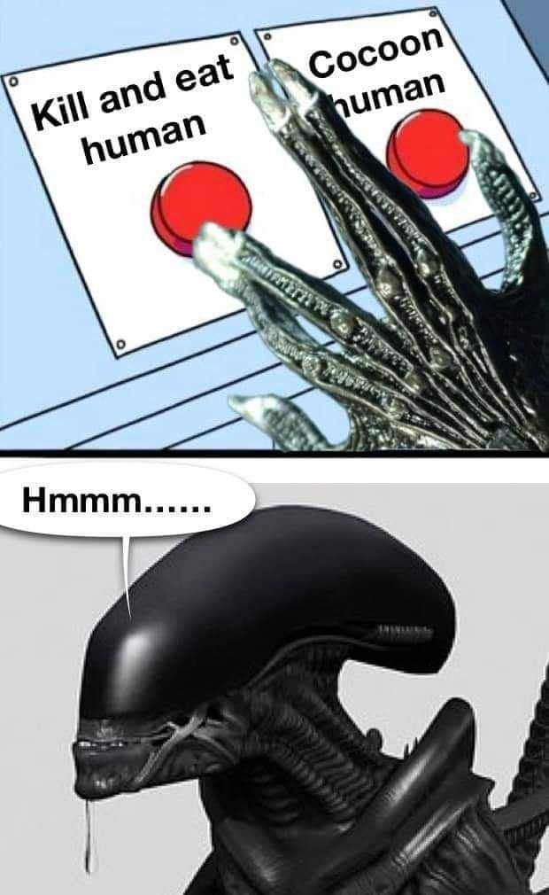 1737054739134.png