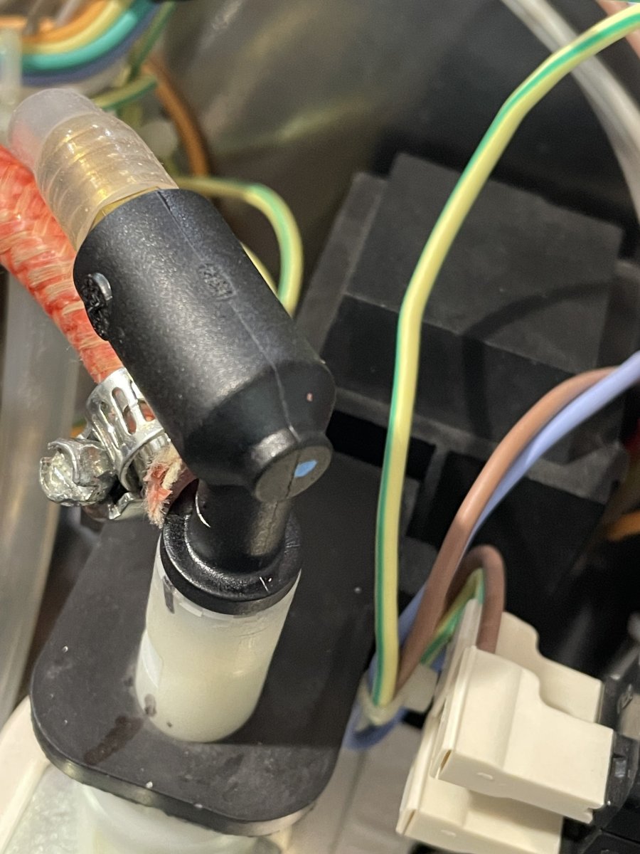 IMG_1598.jpeg IMG_1598.jpeg