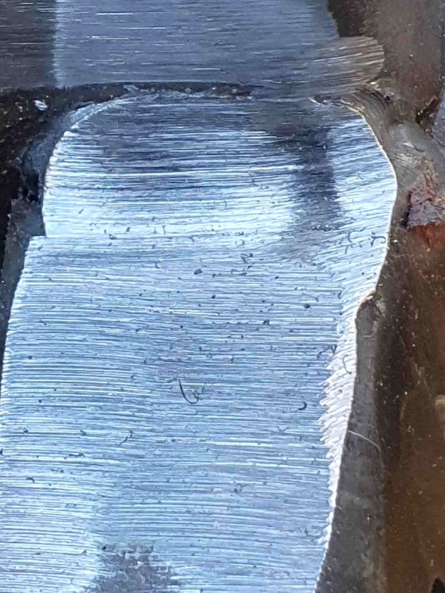 20241125_111315.jpg