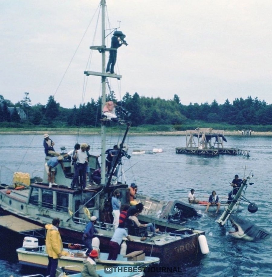 Jaws 1975.jpg