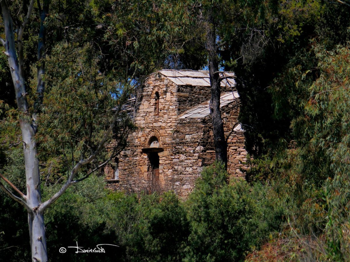 _1350835 copy_WM.jpg _1350835 copy_WM.jpg